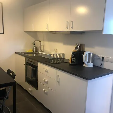 Deluxe City Mountain Studio